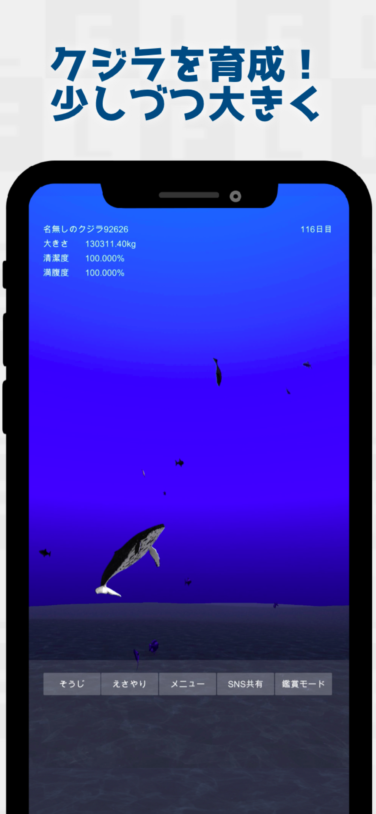 クジラ育成のプレイ画面